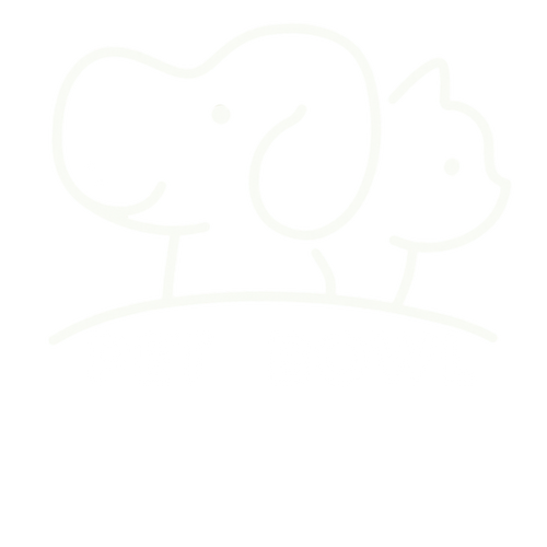 Pet Bowl